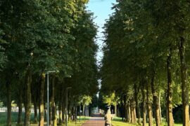 Vélo électrique routine bien-être 2026 : guide pratique