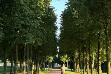 Vélo électrique routine bien-être 2026 : guide pratique